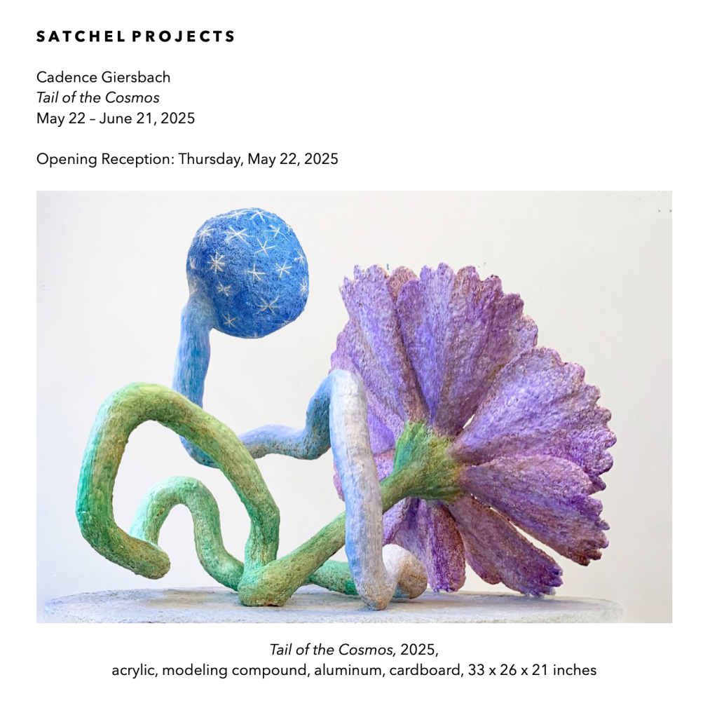 Tail of the Cosmos at Satchel Projects