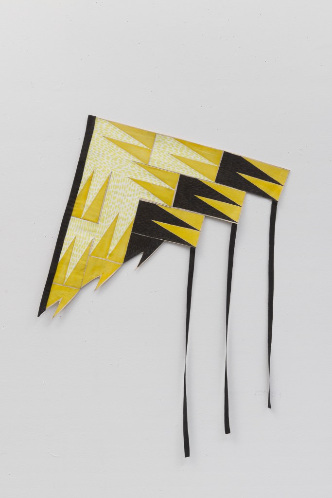 Goldfinch Kite, 2024, acrylic on sewn canvas, 24 x 36 inches